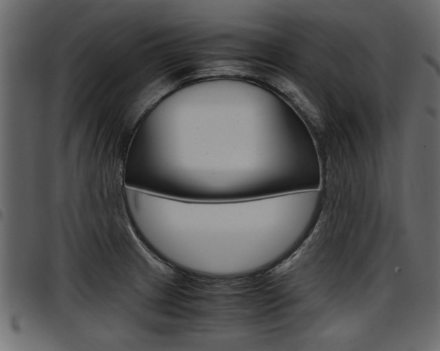 X0000097601233200802290724