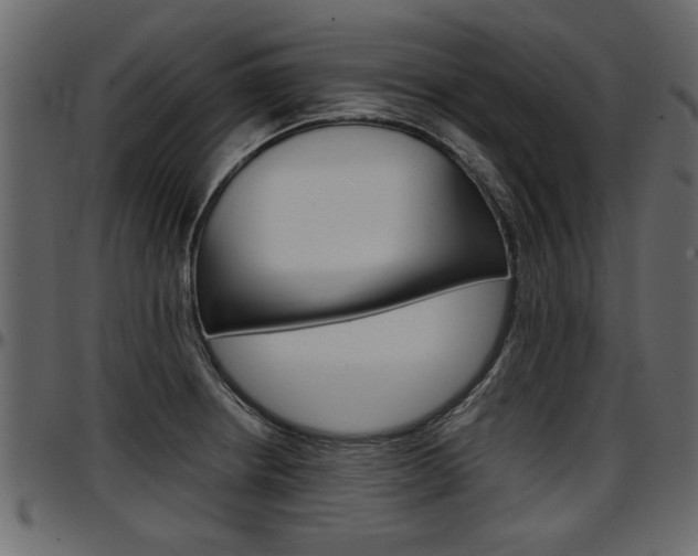 X0000097601234200802290724