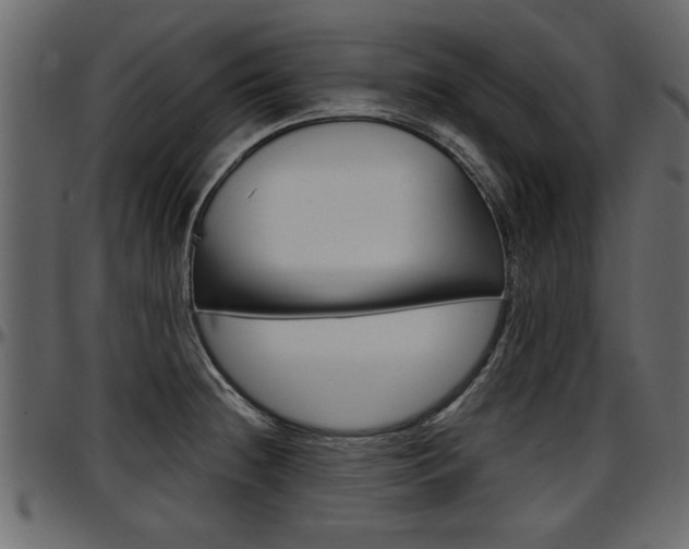 X0000097601236200802290724
