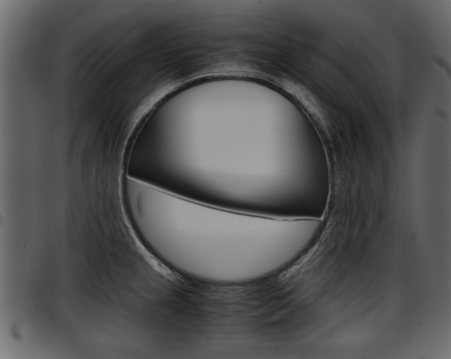 X0000097601237200802290724