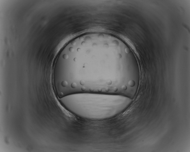 X0000097601245200802290724