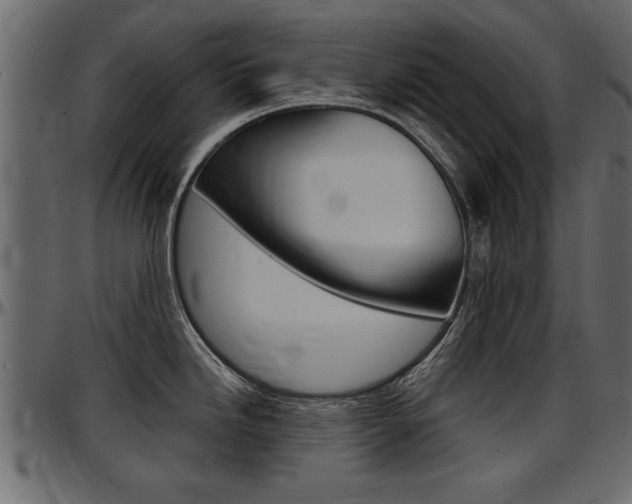 X0000097601246200802290724