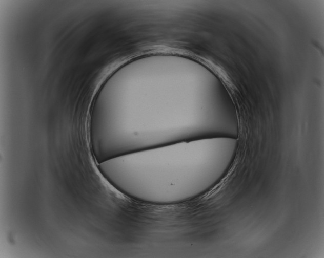 X0000097601247200802290724