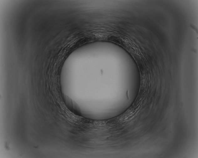 X0000097601249200802290723