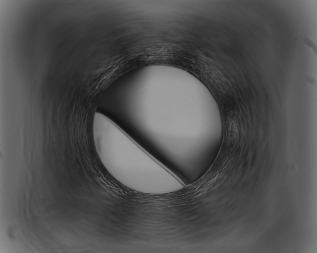 X0000097601250200802290723