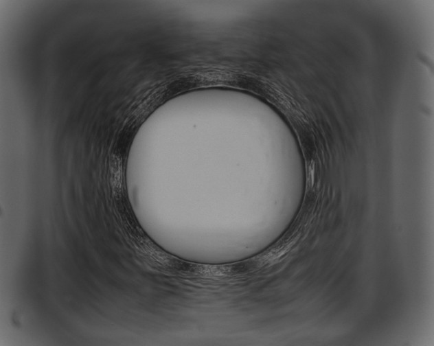 X0000097601251200802290723