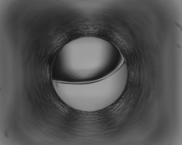 X0000097601252200802290723
