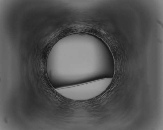 X0000097601253200802290723