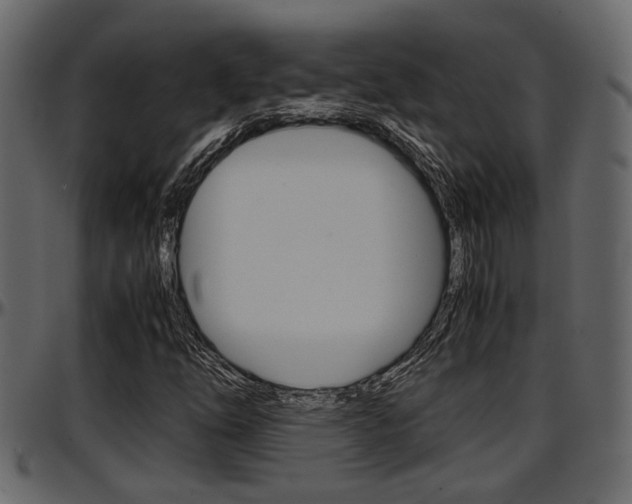 X0000097601254200802290723