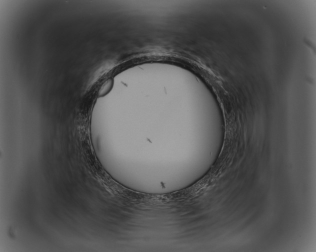 X0000097601255200802290723