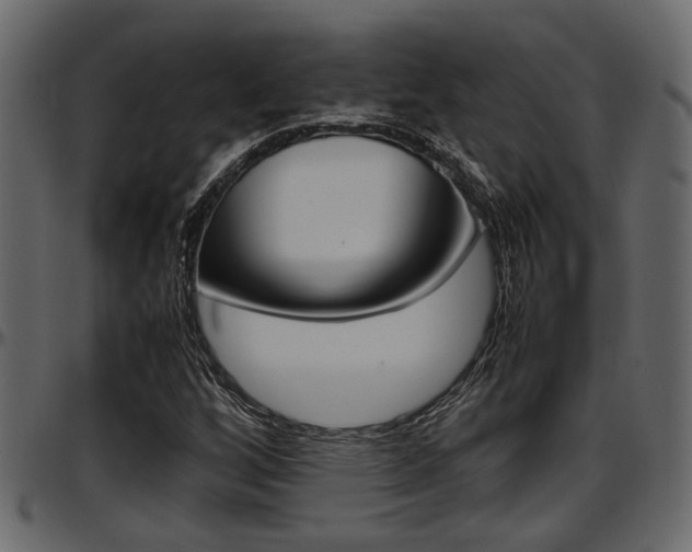 X0000097601256200802290723