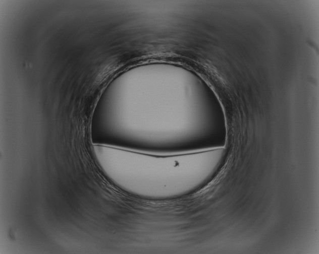 X0000097601257200802290723