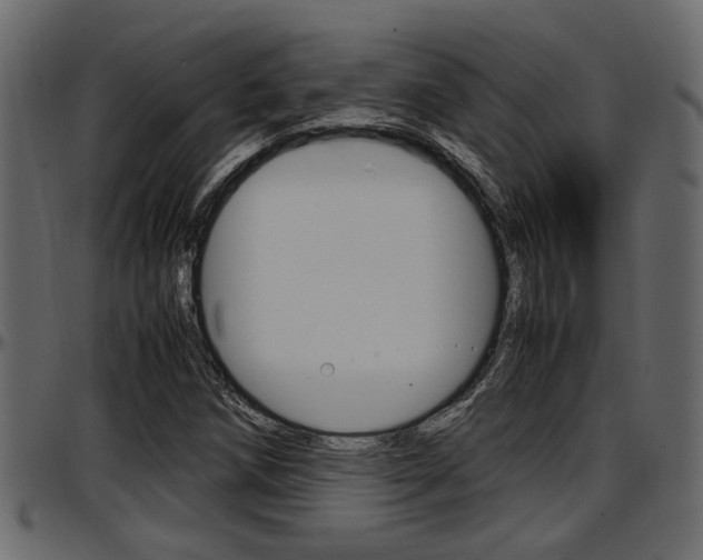 X0000097601258200802290723