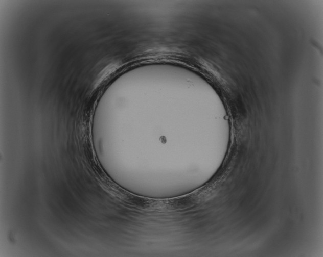 X0000097601259200802290723