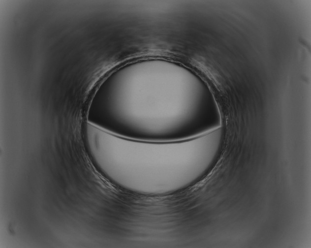 X0000097601260200802290723