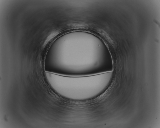 X0000097601261200802290723