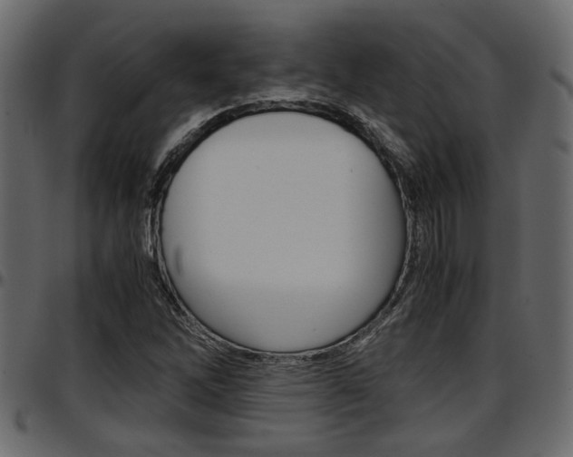 X0000097601262200802290723