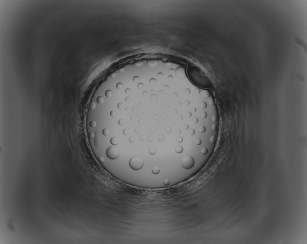 X0000097601263200802290723