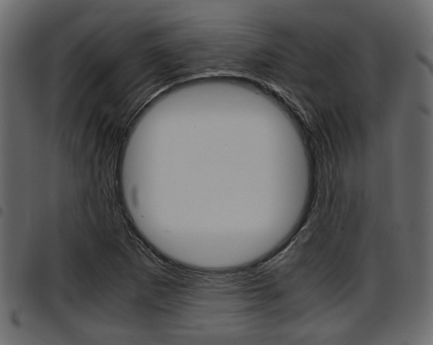 X0000097601265200802290723