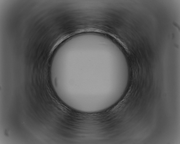 X0000097601266200802290723
