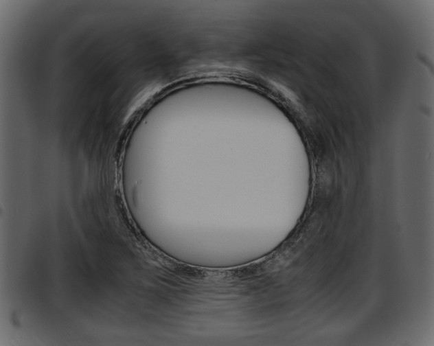 X0000097601267200802290723
