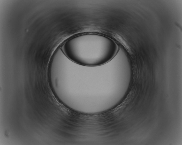 X0000097601268200802290723
