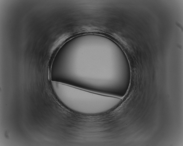 X0000097601269200802290723