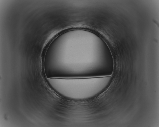 X0000097601270200802290723