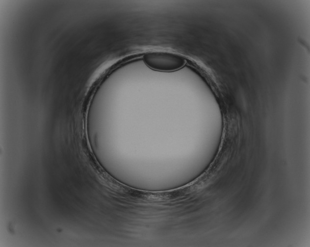 X0000097601271200802290723