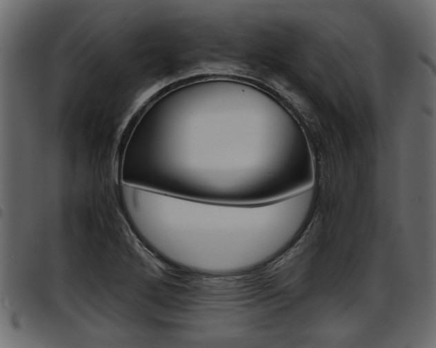 X0000097601272200802290723