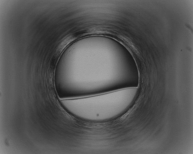 X0000097601273200802290723
