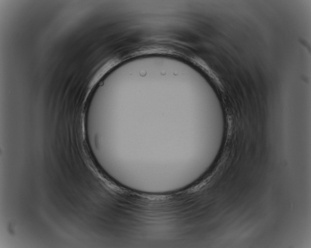 X0000097601274200802290723