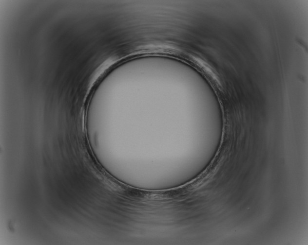 X0000097601275200802290723