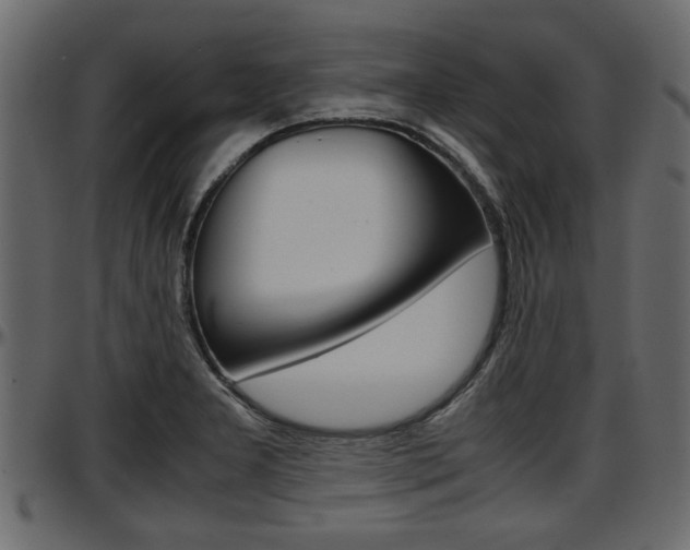 X0000097601277200802290723