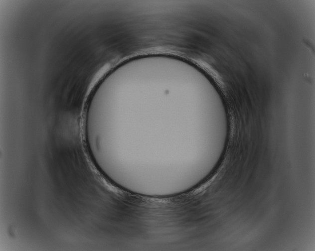 X0000097601278200802290723