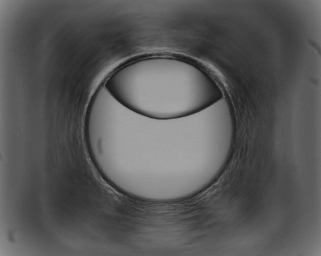 X0000097601279200802290723