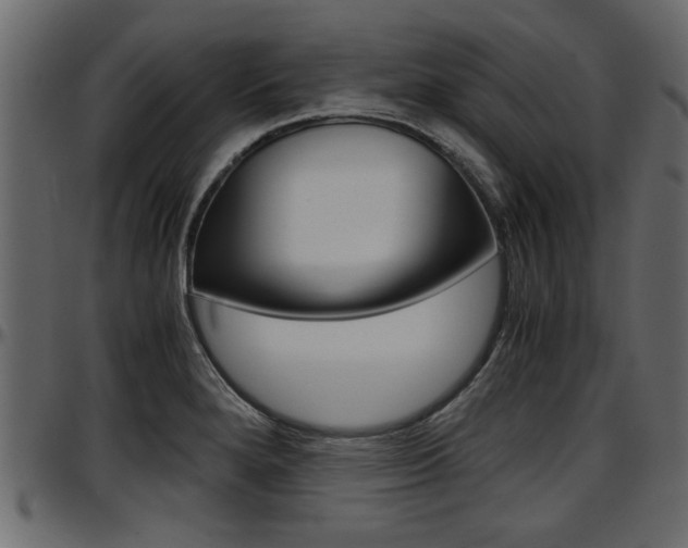 X0000097601280200802290723