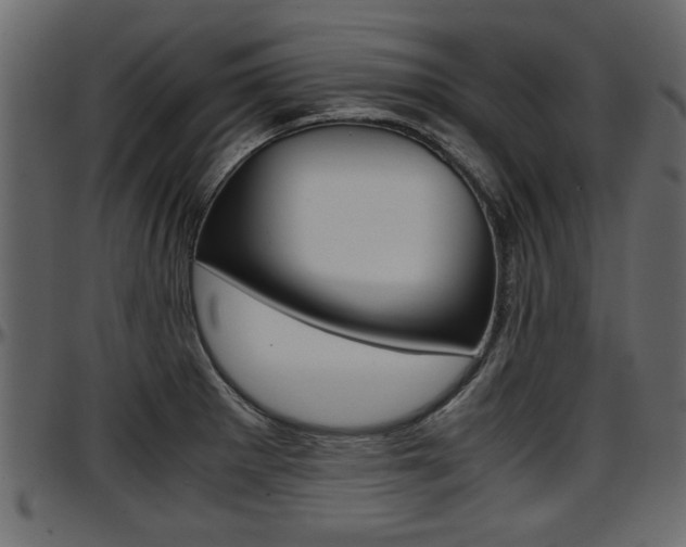 X0000097601281200802290723
