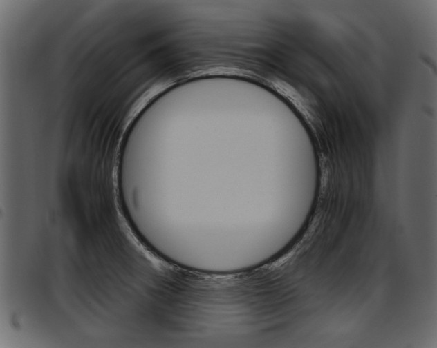 X0000097601282200802290723