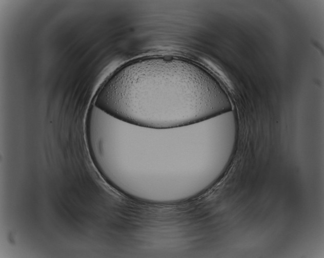 X0000097601283200802290723