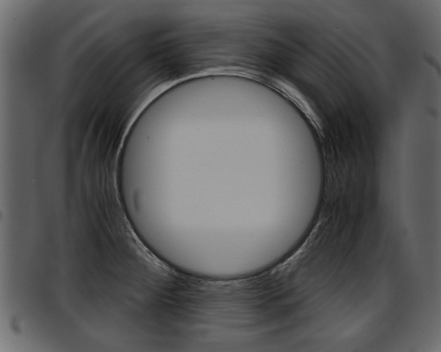 X0000097601284200802290723