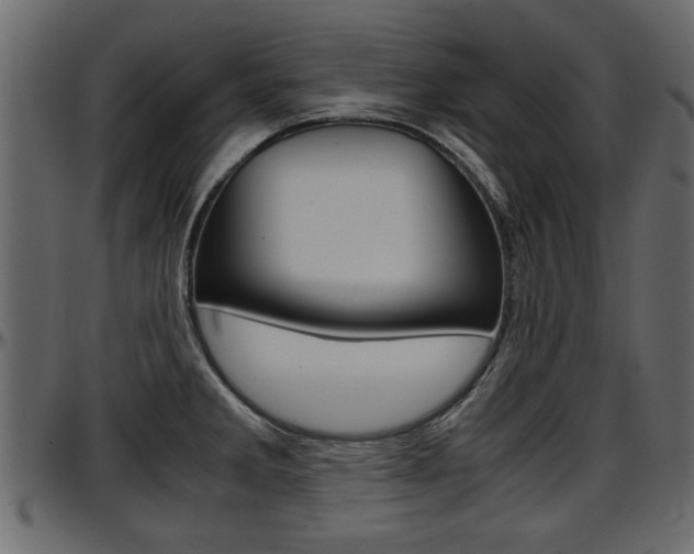 X0000097601285200802290723