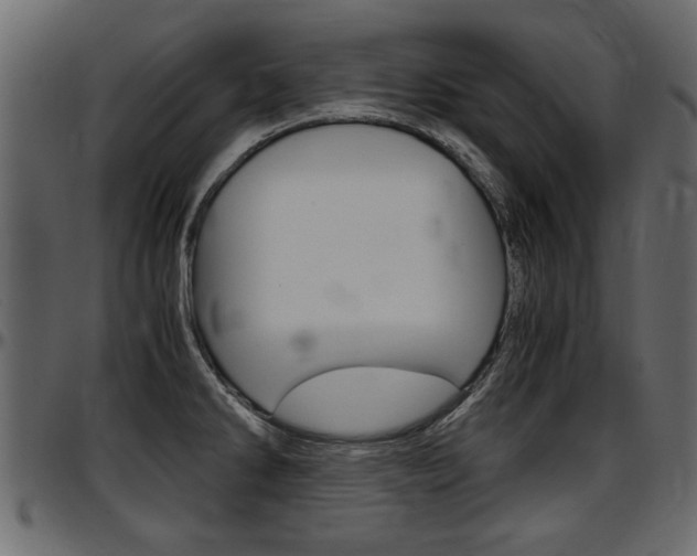 X0000097601286200802290723
