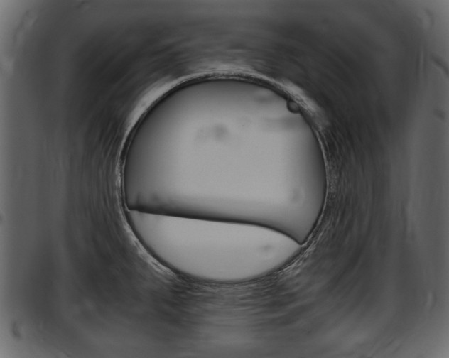 X0000097601287200802290723