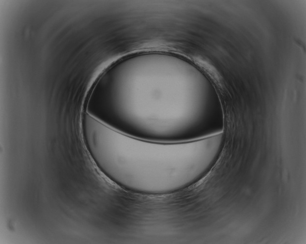 X0000097601288200802290723