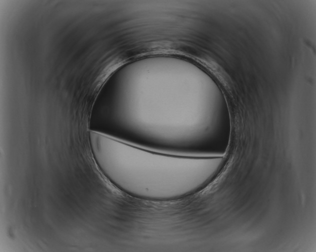 X0000097601289200802290723
