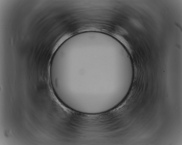 X0000097601290200802290723