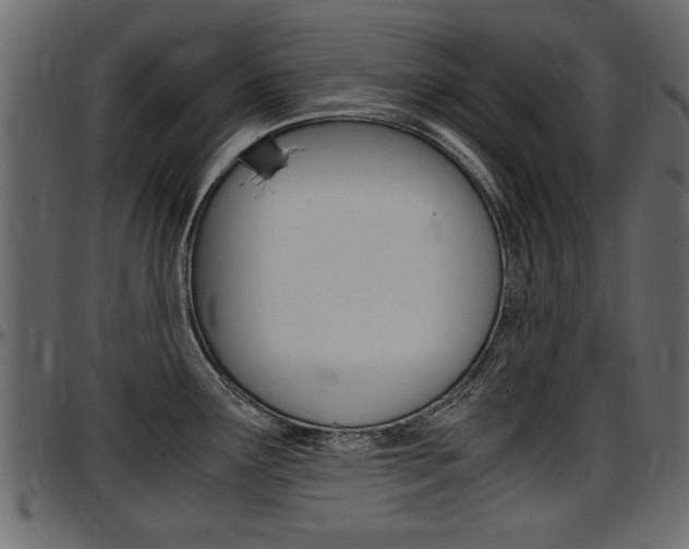X0000097601291200802290723