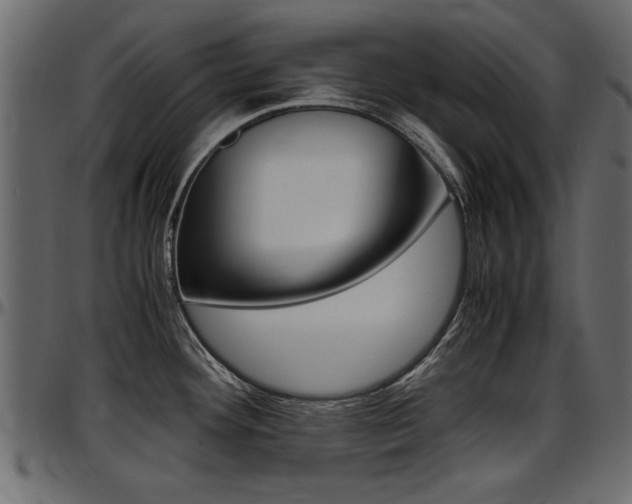 X0000097601292200802290723