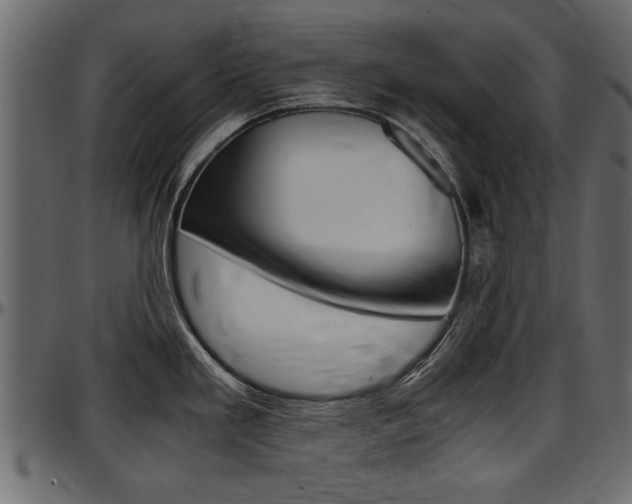 X0000097601293200802290723